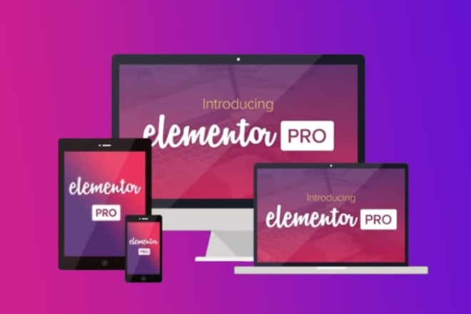 I will elementor pro for 5 dollars with lifetime update and unlimited websites