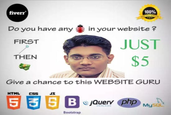 I will fix any html, css, javascript, php, laravel, ci,mysql bug and error