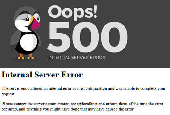 I will fix quick 500 internal server error within an hour