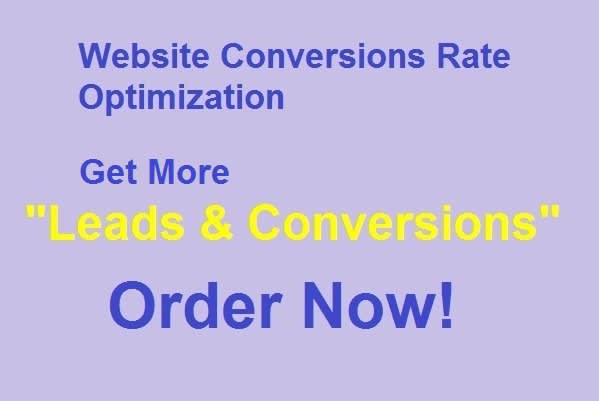 I will generate traffic, leads and conversions