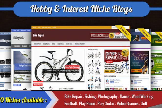 I will give a collection of blogs niche wordpress website clickbank amazon adsense