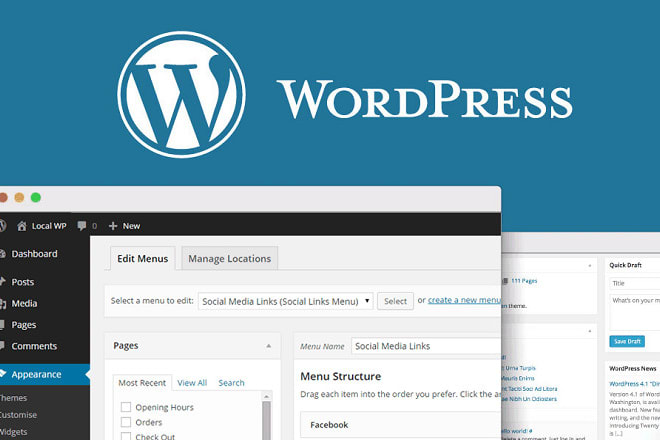 I will give you any types of websites that created with wordpress