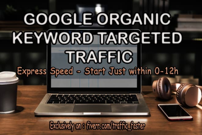 I will google organic keyword targeted traffic