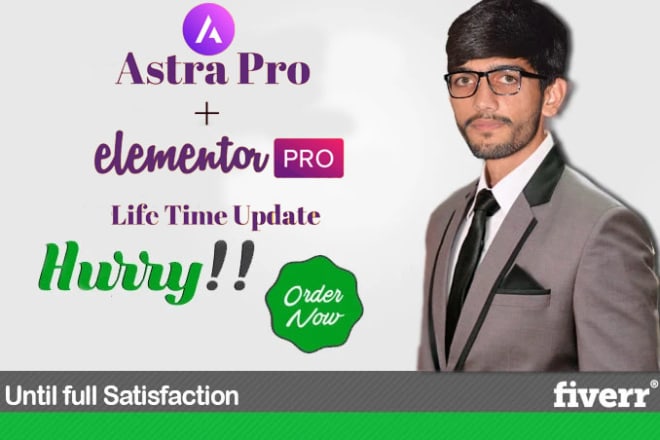 I will install lifetime updatable astra pro and elementor pro