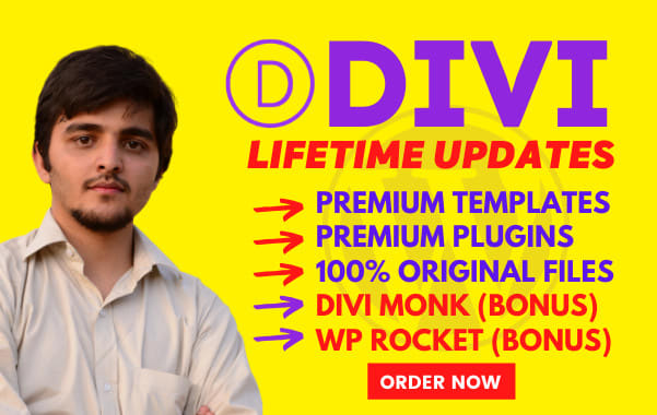 I will install premium divi theme and plugins with API key for lifetime updates