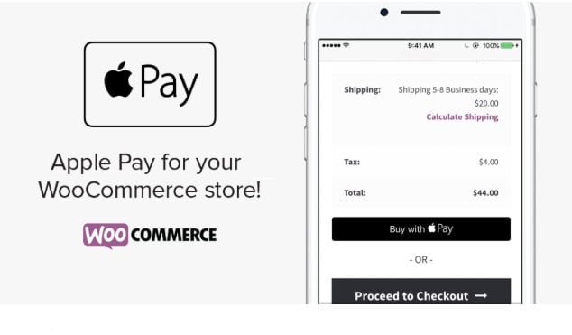 I will integrate apple pay to your woocommerce store