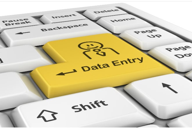 I will make any type of data entry work with short time