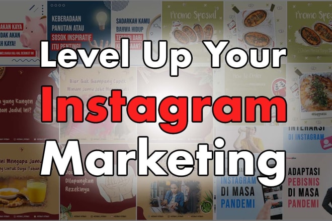 I will manage and boost your instagram business