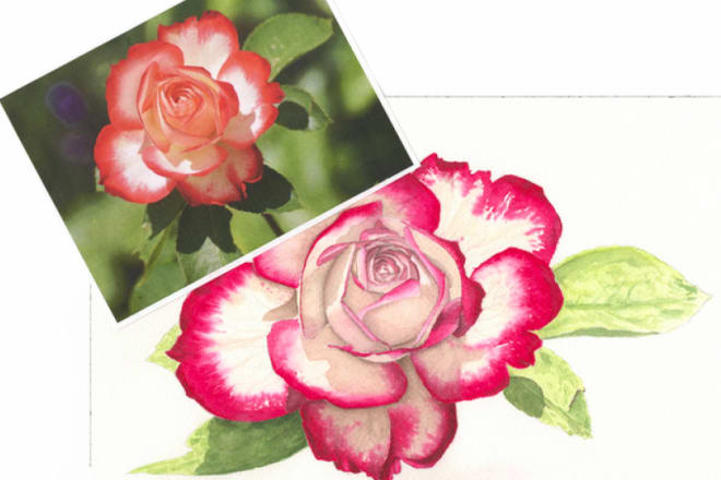 I will paint you a greeting card in watercolor