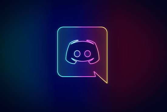 I will program a fully custom discord bot in python for your needs