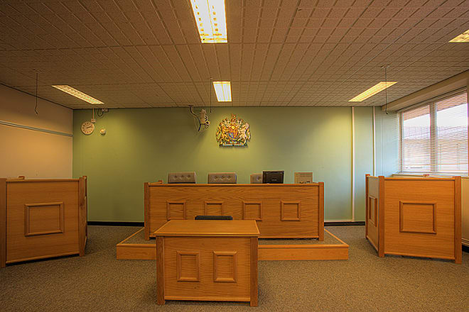 I will provide trial court motion drafting services, court papers or opposition