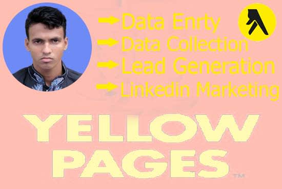 I will scrape yellowpages for any company