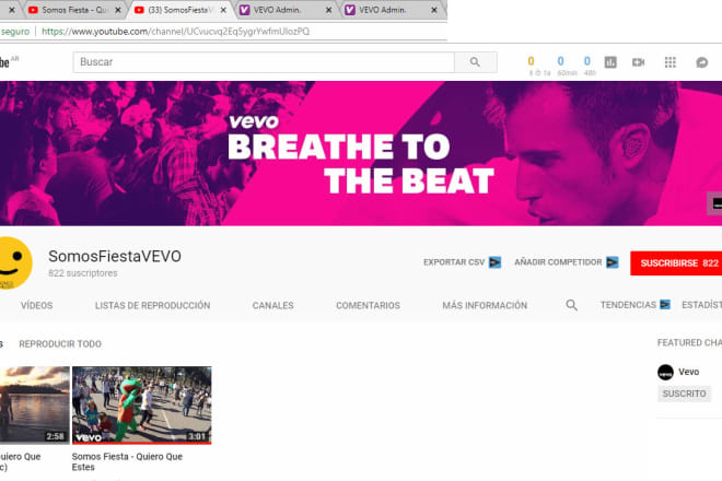 I will set up your vevo channel and publish your music videos