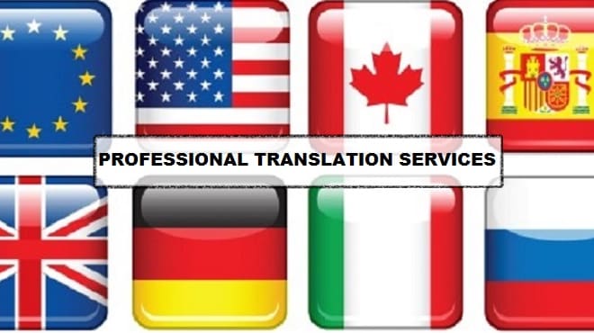 I will translate english french german spanish portuguese