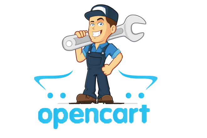 I will work, fix, create or customize your opencart ecommerce site