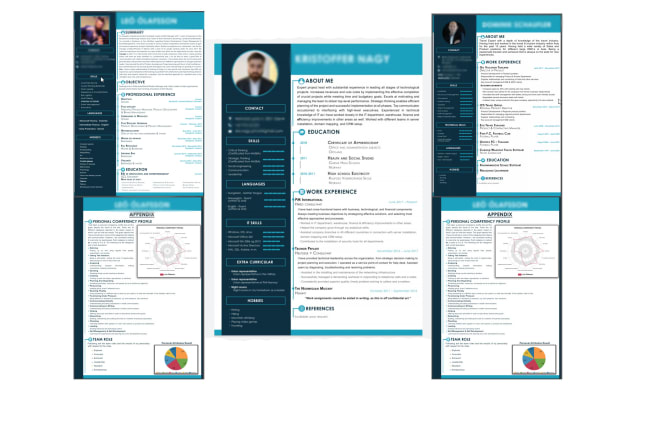 I will write a professional CV and resume with modern design