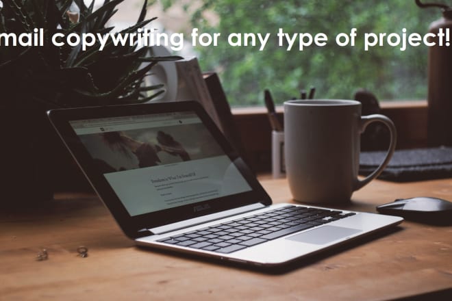 I will write professional quality email copywriting