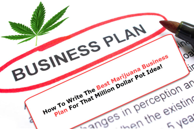 I will write your exceptional cannabis or marijuana business plan