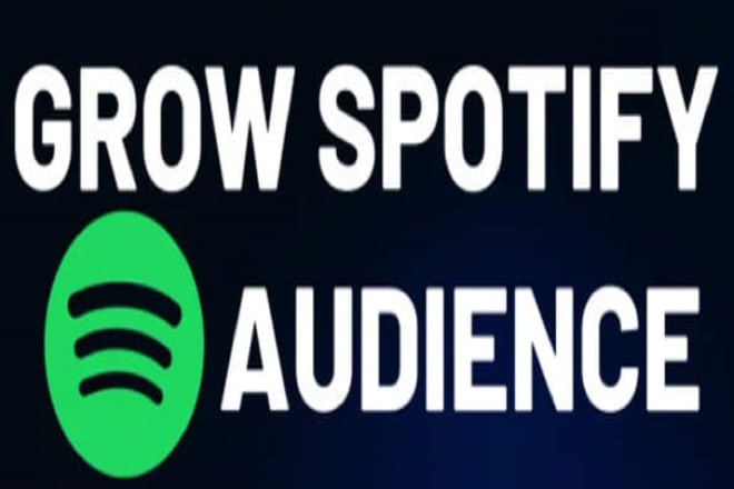 I will advertise your spotify music track via playlist placement