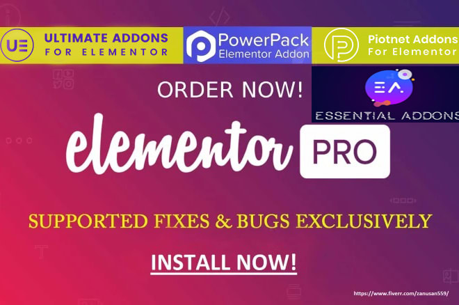 I will be your elementor pro assistant