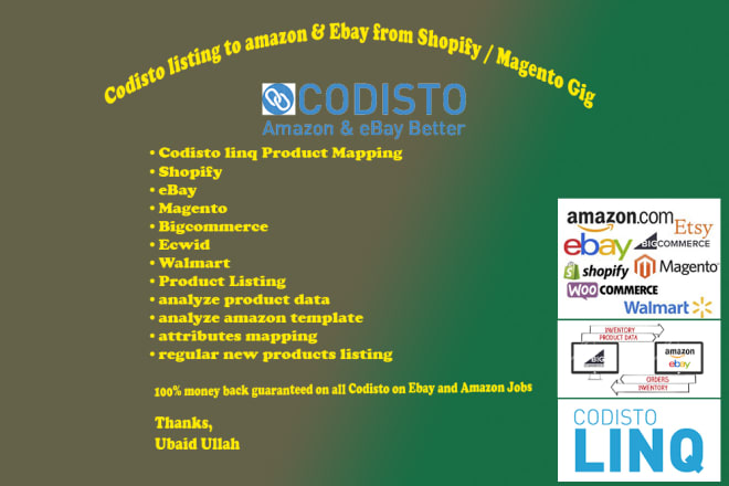 I will codisto product mapping amazon ebay