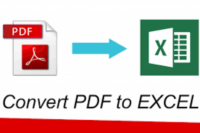 I will convert pdf to excel