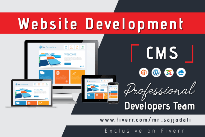 I will create professional website in cms
