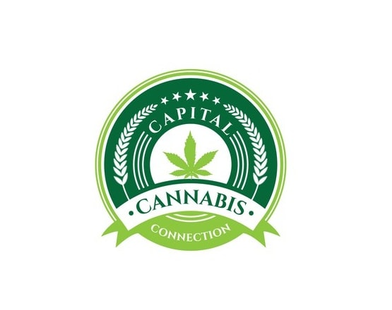 I will create your graphic artist creative cannabis logo design