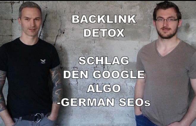 I will deliver a backlink detox, disavow german deutsch