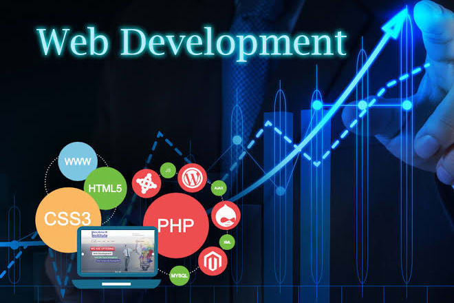 I will develop professional business website