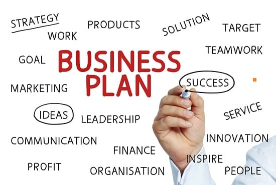 I will do a business plan, financial plan, name, proposal, marketing plan, model