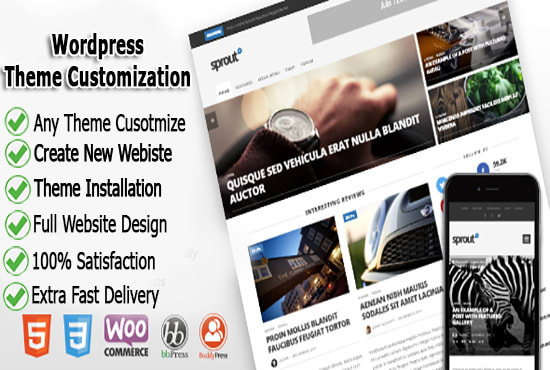 I will do customize wordpress website redesign any theme 12hours