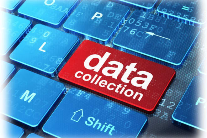 I will do data entry,internet research and data collection services