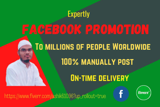 I will do facebook promotion professionally in USA