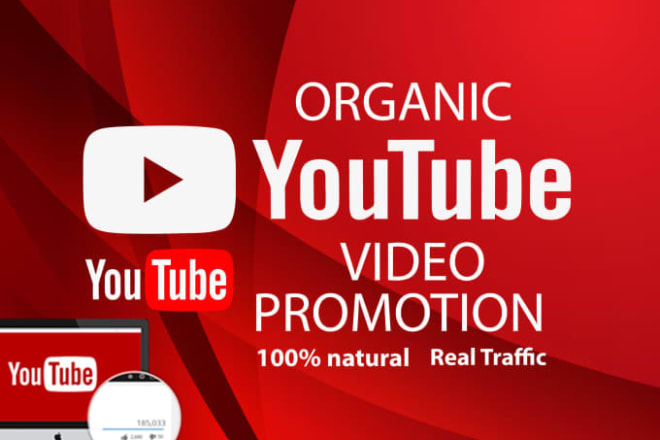 I will do fast and viral organic youtube video promotion