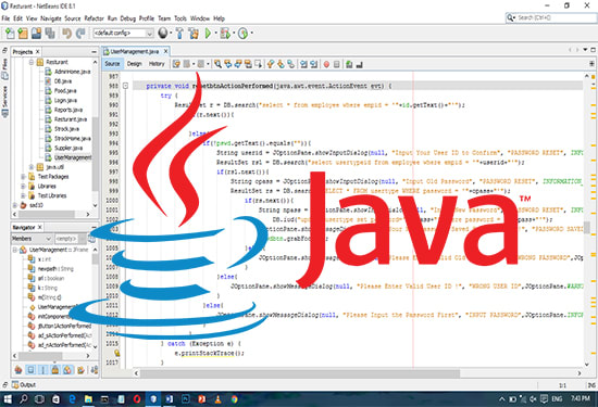 I will do java program application and projects