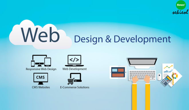 I will do website design and development