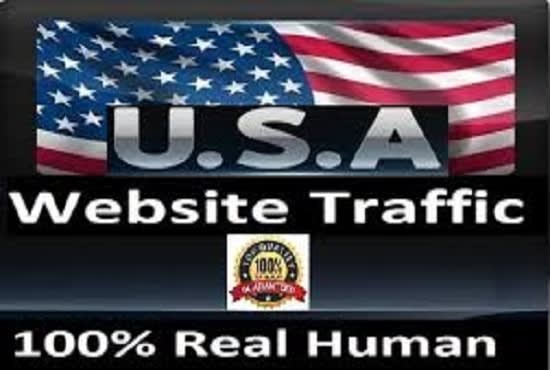 I will drive USA targeted website traffic with daily visitors