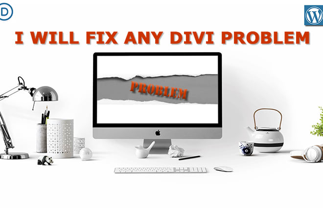 I will fix any divi problem