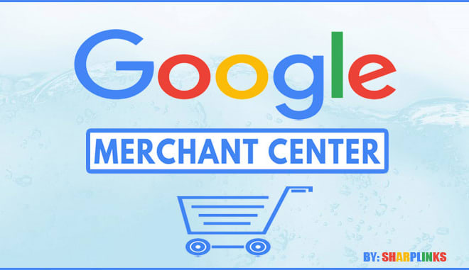 I will fix issues and setup google merchant center