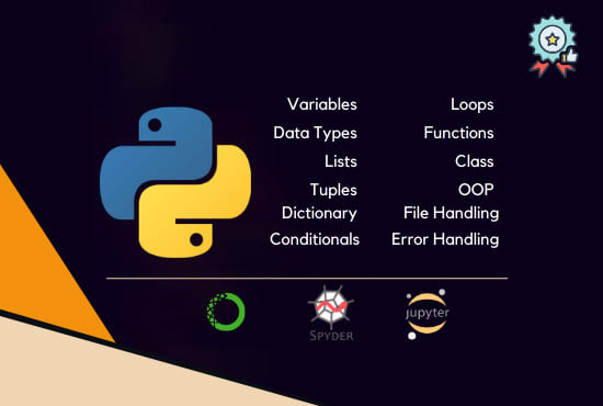 I will give you one on one training in python, python tutorial
