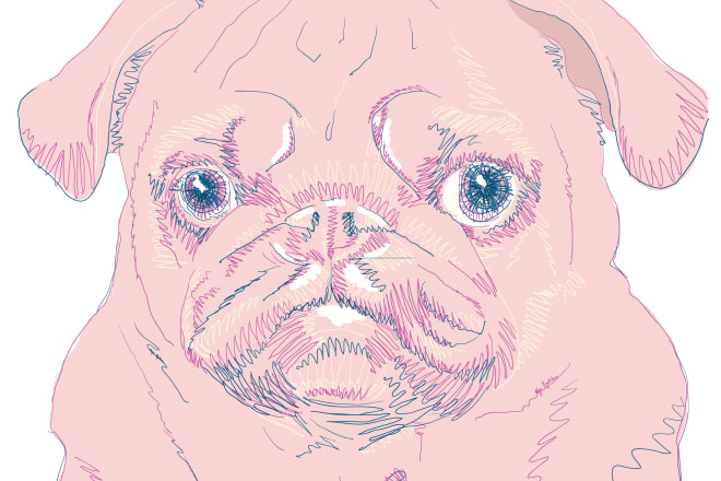 I will line art illustration of your pet in a linear colorful style