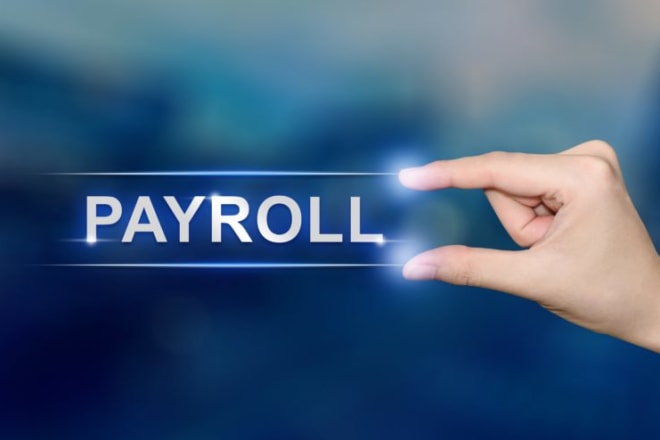 I will make payroll for your organization