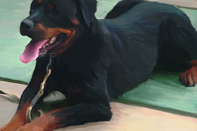 I will make professional oil paintings for your pet