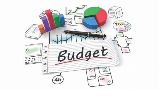 I will provide some plans for your business budgeting