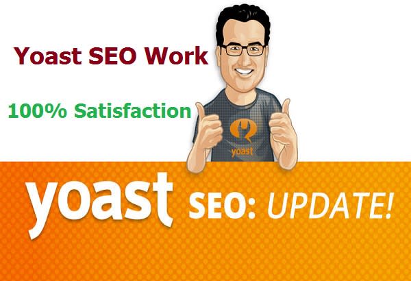 I will setup SEO in wordpress