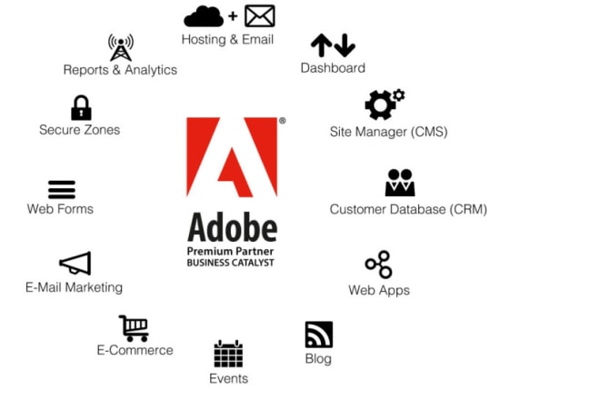 I will update adobe business catalyst website