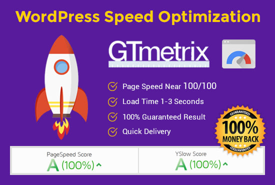 I will wordpress speed optimization for gtmetrix and google page speed