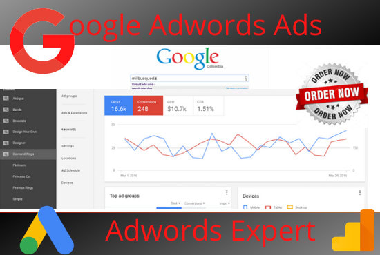 I will be expert google adwords ads run optimize and management