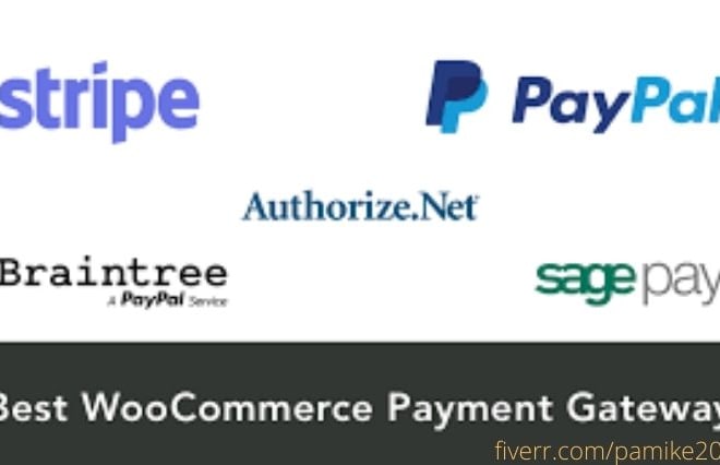 I will create and integrate verified stripe paypal and other payment gateway to go live